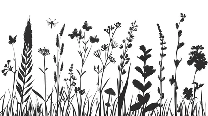 Foto op Plexiglas Black silhouettes of grass, flowers and herbs isolated on white background. Hand drawn sketch flowers and insects, Flower, garden grass field outline vector illustration Ai generated  © Hamid