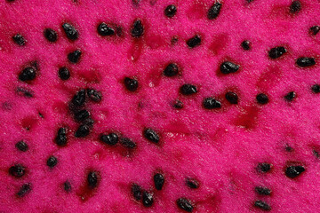 Ruby red exotic cactus dragon fruit whole cut half on white background - 768481694