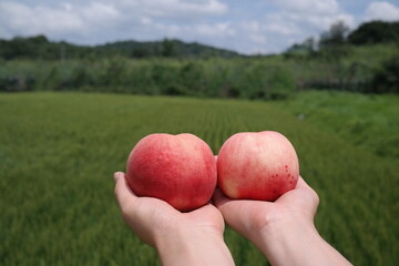peach