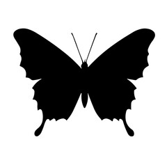 Simple Butterfly black icon