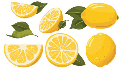 Lemons are fresh and very sour flat vector