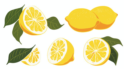 Lemons are fresh and very sour flat vector