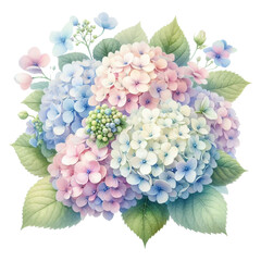 Watercolor, bouquet of hydrangea, soft toness isolated on PNG background.Generative AI.