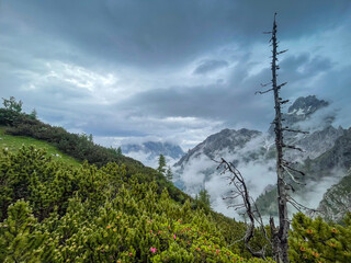 A hike though the Berchtesgaden Steinerne Meer by passing green and snow fields with rain clouds at...