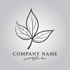 Leaf logo company design vector image on the white background