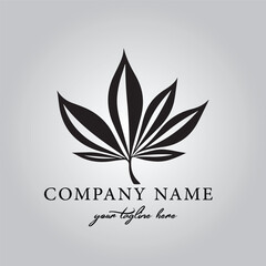 Fototapeta na wymiar Leaf logo company design vector image on the white background