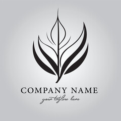 Leaf logo company design vector image on the white background