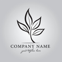 Leaf logo company design vector image on the white background