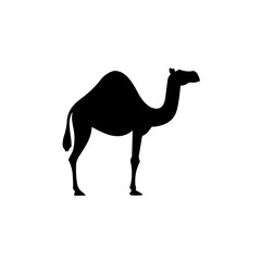 Simple camel isolated black icon