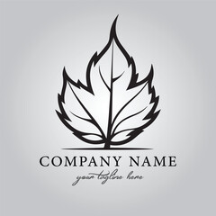 Leaf logo company design vector image on the white background