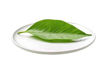 A single green leaf rests delicately on a pristine white plate, creating a stark contrast between the vibrant natural element and the clean surface. Isolated on a Transparent Background PNG. - Powered by Adobe