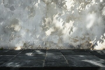 White concrete wall and black stone floor with shadow of tree leaves