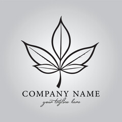 Leaf logo company design vector image on the white background