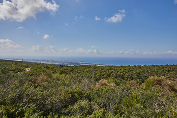 Fototapeta na wymiar Breathtaking Mediterranean Sea view from hilltop in Israel with blue water and green vegetation
