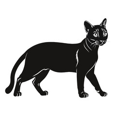 Obraz premium Bengal Silhouette