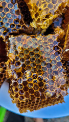 background with honeycomb