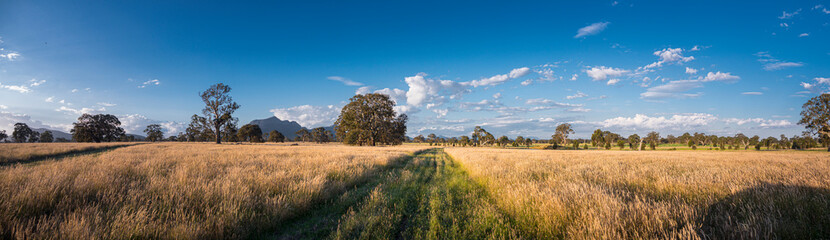 Rural Victoria  Australia. Grampians mountains in background. Eucalyptuss trees long grass and farm track - obrazy, fototapety, plakaty