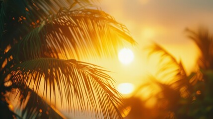  Sunrise over a tropical landscape with palm trees, symbolizing new beginnings and hope  - obrazy, fototapety, plakaty