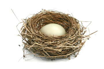 Birds Nest with egg isolated on white.