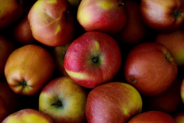 Apples at the farmers market