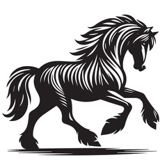 Friesian horse- Phylum horse