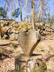 Heart-Shaped Tree Stump in a Swedish Forest Captured on a Sunny Day