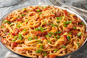 Delicious spaghetti with bacon, minced meat, cheddar cheese, onion and spicy tomato sauce close-up...