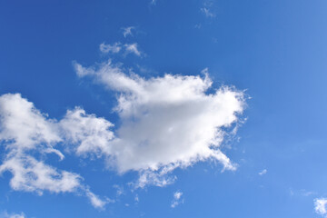 White cloud in turtle shape with blue sky background. 