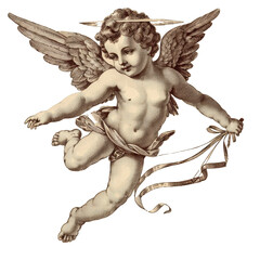 vintage romantic illustration of a cherub or cupid isolated on a transparent background