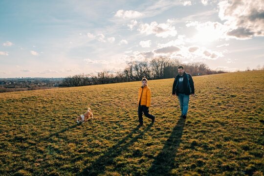 A boy, his dad and a corgi dog walk through a field on a sunny day