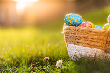 Easter eggs in basket in grass. Colorful decorated easter eggs in wicker basket. Traditional egg hunt for spring holidays. Morning magical light