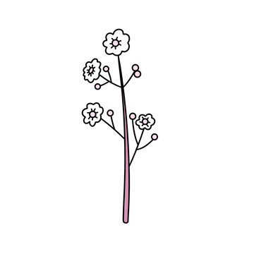 A flower with a stem is drawn in pink. The flower is the main focus of the image