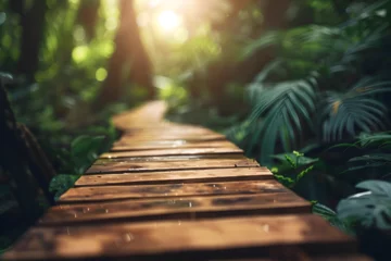 Cercles muraux Descente vers la plage A wooden boardwalk meandering through a dense tropical forest with lush leaves.