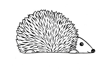 Illustration of a hedgehog isolated on a white background. Stylization. Profile turned right. Black outline drawing. Short wavy lines texture needles. White face and paws.