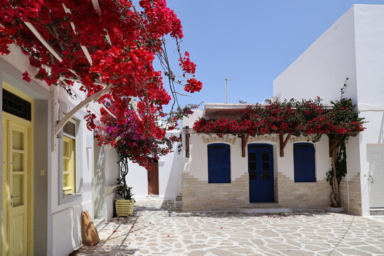 Romantic alley decorated with bougainvillea on Antiparos Island- Cyclades-Greece 