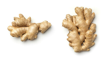 Ginger root collection isolated on white