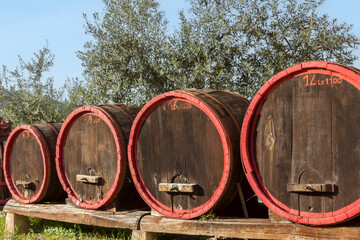 Weinfässer aus Holz, Toskana - 768532894