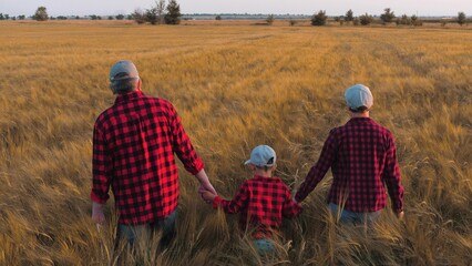 Cute little son of farmers joins hands with parents walking across wheat field. Farmer father mother and son in rye field on weekend at sunset light. Farmers parents hold son hands on wheat field