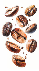 Obraz premium watercolor coffee beans , coffee beans clipart for graphic resources, 