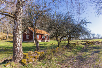Red idyllic cottage by the forest edge a sunny spring day