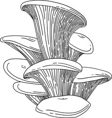 Vector mushroom drawing. Line art style - 768543605