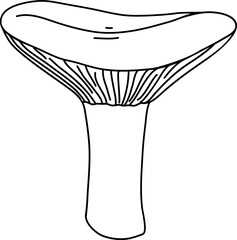 Vector mushroom drawing. Line art style - 768543608