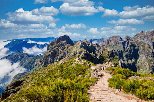 The picturesque stone trail PR 1 in Madeira. The route leads through rocky terrain, surrounded by lush greenery, under a blue sky with white clouds, creating a harmonious image of the island's natural