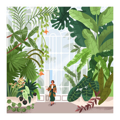 Woman in greenhouse, conservatory, botanical garden, park. Person walking in hothouse, green glass house indoor with greenery, exotic tropical leaf plants growing, nature. Flat vector illustration