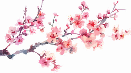 Watercolor branch blossom sakura cherry tree with flow