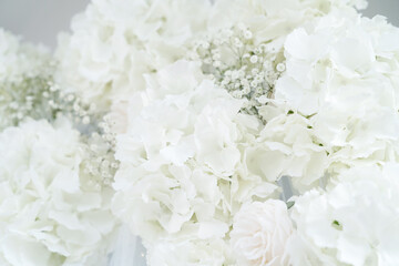 White rose and white hydrangea flowers, blossoming soft pastel floral background, wedding bouquet