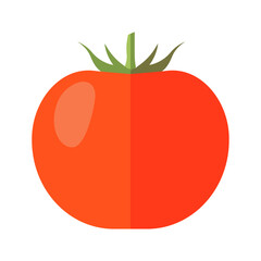 vector fresh tomato vegetable on white