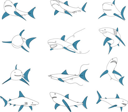 sharks set line drawing sketch, on white background vector
