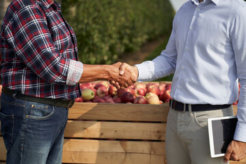 Successful transaction between senior farmer and sales representative on apple orchard