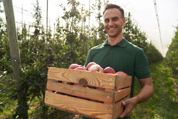 Portrait of sales representative with a crate full of apples